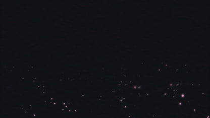 The Neonfather Albert Feuerwerk Verbundfeuerwerk