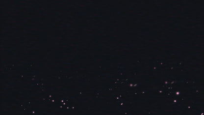 Funke Albert Feuerwerk King of Bling